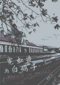 霓虹夜与白鸽子（金主）